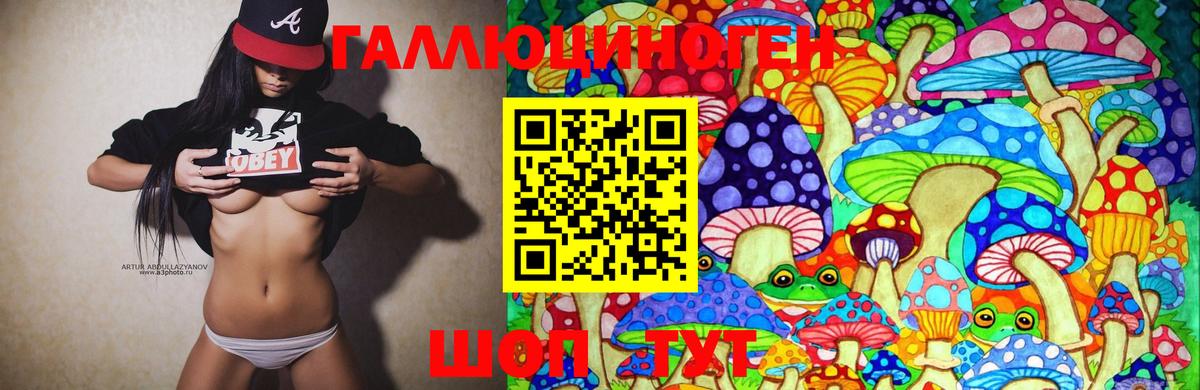 Галлюциногенные грибы Cubensis  сколько стоит  Кировск  Псилоцибиновые грибы Magic Shrooms  Вход с VPN 