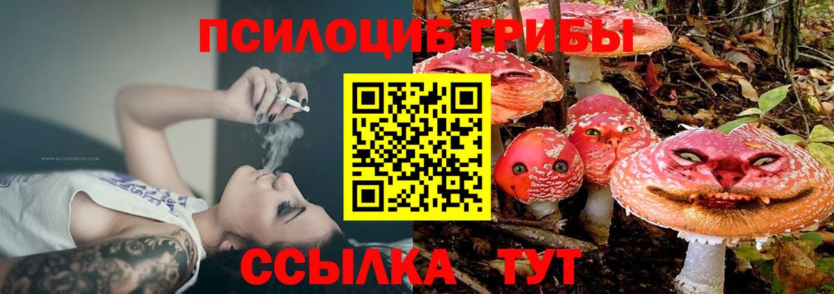 Галлюциногенные грибы MAGIC MUSHROOMS Кировск
